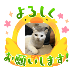 aya_20260809162959