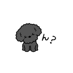 Dog sticker.#22 Toy Poodle(Black)