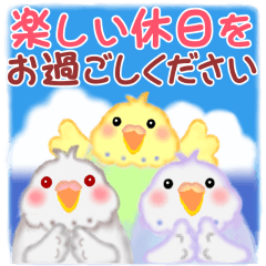 仲良しインコさん⭐︎夏