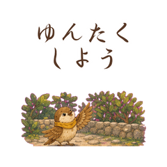 Mofu & Friends: Okinawa Phrases