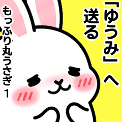 For Yuumi - Moffuri maru Rabbit 1