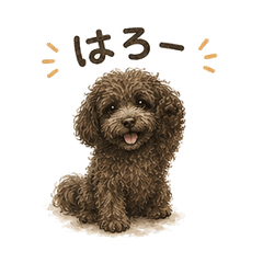 I'm your Buddy!