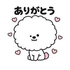Kotchan's Fluffy Days