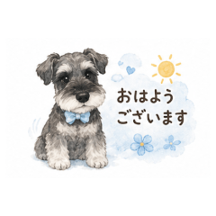 Polite Schnauzer
