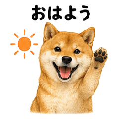 Creative Daily Stickers Pack Vol4