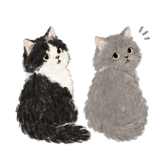 MoodsBicolorCatAndBlueCat