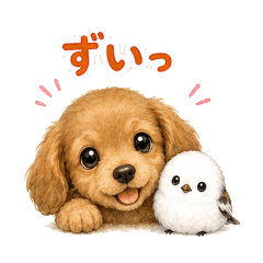 表情反應迷你臘腸犬與銀喉長尾山雀