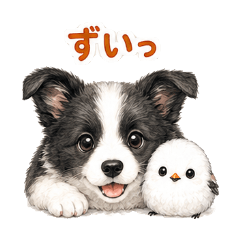 表情反應邊境牧羊犬與銀喉長尾山雀