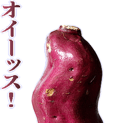 Moving Sweet potato.