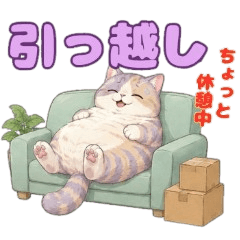 Heartwarming Chubby Cat: Moving Day