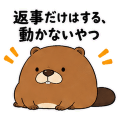 Replies Without Moving/jp