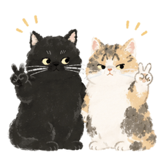BlackAndCalicoHappy
