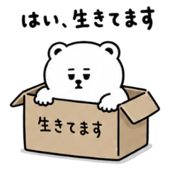 일단 살아있는 곰
