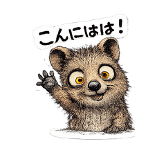 Quokkward