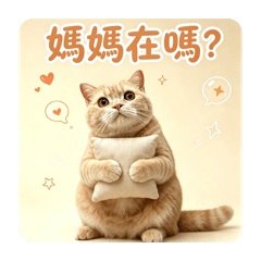 仔仔日常3.0