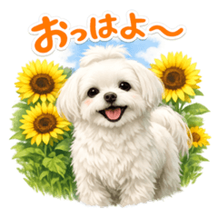 Maltese Stickers stickers for Summer