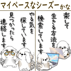 [BIG] Shih tzu 2026 (At one's own pace)