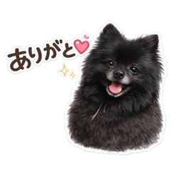 YUKI_20260809174312