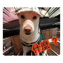 口口口&&