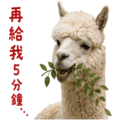 Alpaca Funny Meme Daily [ZiFu]