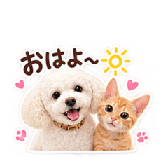 minami_20260809180443