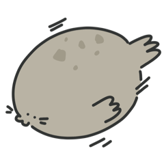 灰色ㄉ海豹