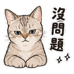 Q版乖乖