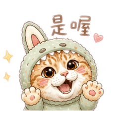 兔貓貓