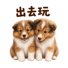SHELYOUNG(喜樂蒂)