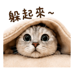 可可喵萬用貼續集