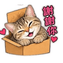 酷卡寶貝2