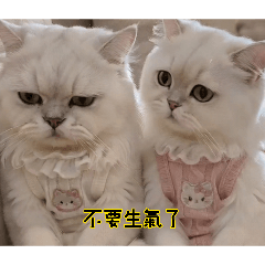 2026球球＆妹妹生活日常
