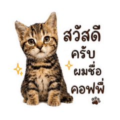 Baitong_20260612061812