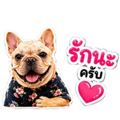 Nuyyyyyy_20260612060249