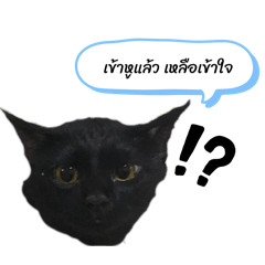 Ly_20260612134412