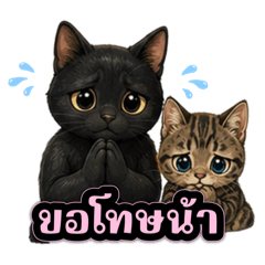 Pammy_20260612143522