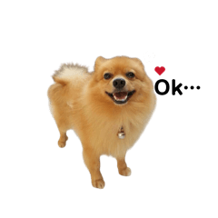 MykhaoPun_20260612160708
