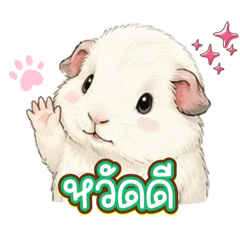 Pammy_20260612160047