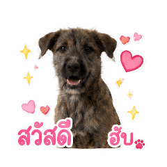 Charissa_20260613161300