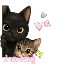 Pammy_20260614005356
