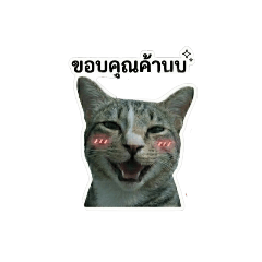 Ploy_20260614023924