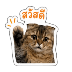 Zeen_20260614124811