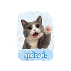 bew_20260615132253