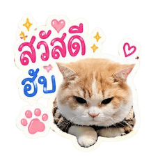 Oranong_20260616002850
