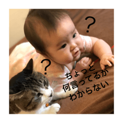 Mio Miostamp2
