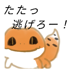 reopa.cute
