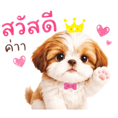 MooMay_20260616220523