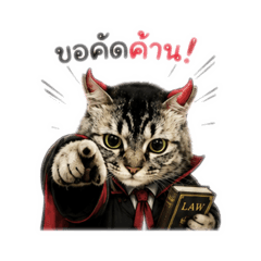 CAT_FUFU2