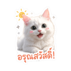 R Supiga_20260616234546
