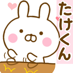 Rabbit Usahina love takekun
